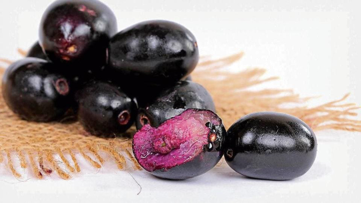Jamun